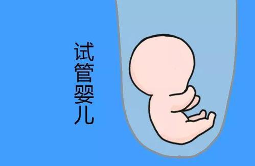 周医生